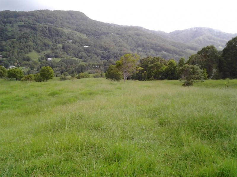 1318 Currumbin Creek Road, Currumbin Valley QLD 4223