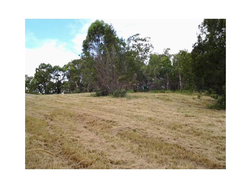 14 Coffee Bush Court, Reedy Creek QLD 4227