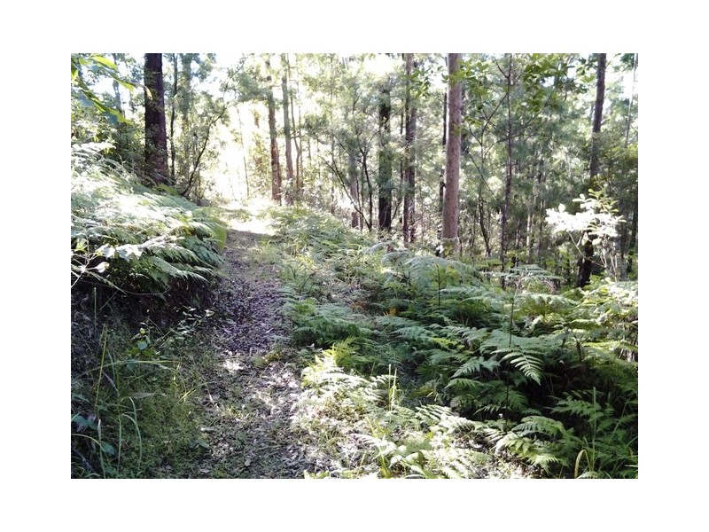 11 Barmark Court, Tallebudgera Valley QLD 4228