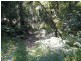11 Barmark Court, Tallebudgera Valley QLD 4228