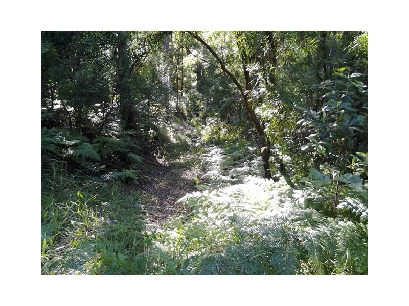 11 Barmark Court, Tallebudgera Valley QLD 4228