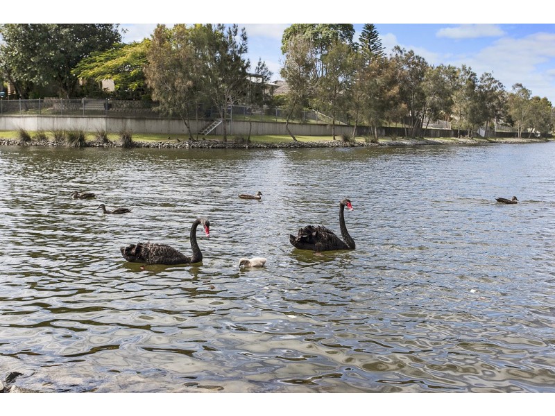 68A Harrier Drive, Burleigh Waters QLD 4220