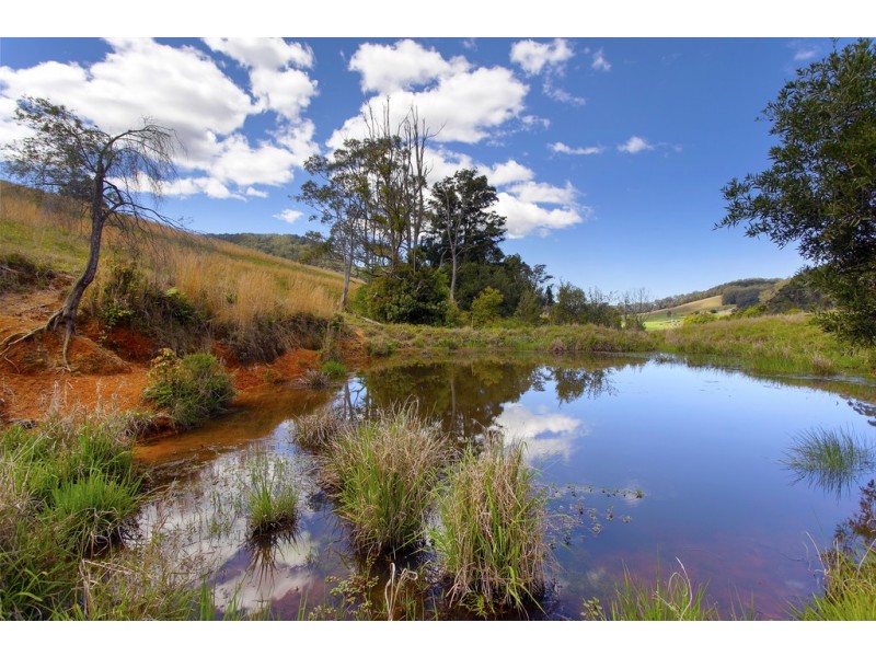 256 Fridays Creek Road, Upper Orara NSW 2450