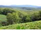 321 Gaudrons Road, Sapphire Beach NSW 2450