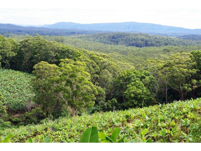 321 Gaudrons Road, Sapphire Beach NSW 2450