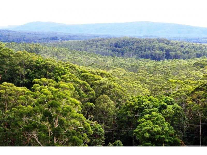 321 Gaudrons Road, Sapphire Beach NSW 2450