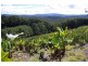 321 Gaudrons Road, Sapphire Beach NSW 2450