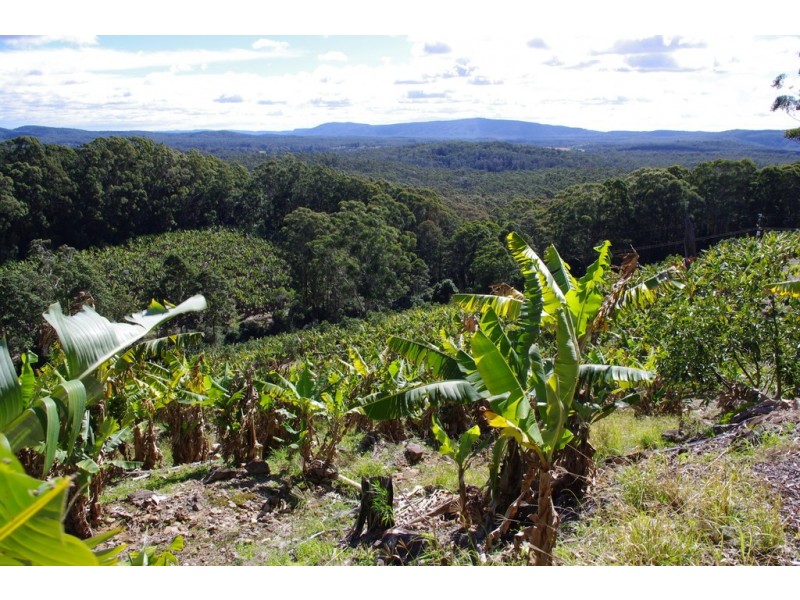 321 Gaudrons Road, Sapphire Beach NSW 2450
