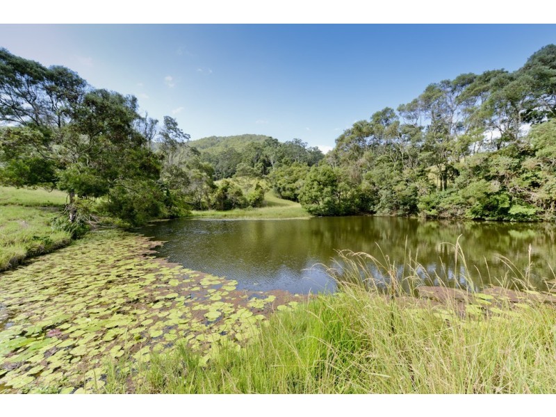 376 Fridays Creek Road, Upper Orara NSW 2450