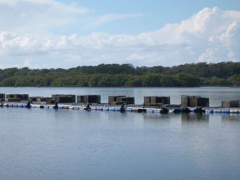Oyster 1 Pacific Highway, Nambucca Heads NSW 2448