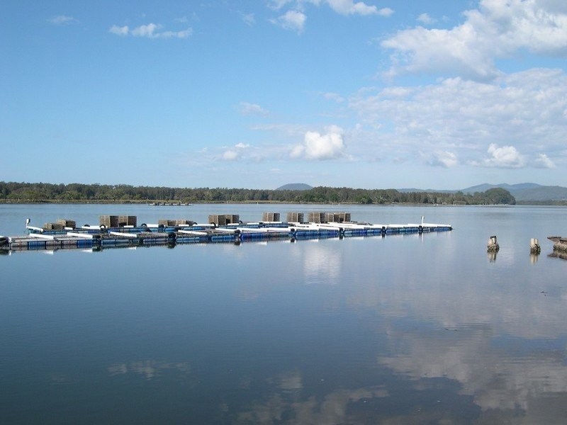 Oyster 1 Pacific Highway, Nambucca Heads NSW 2448