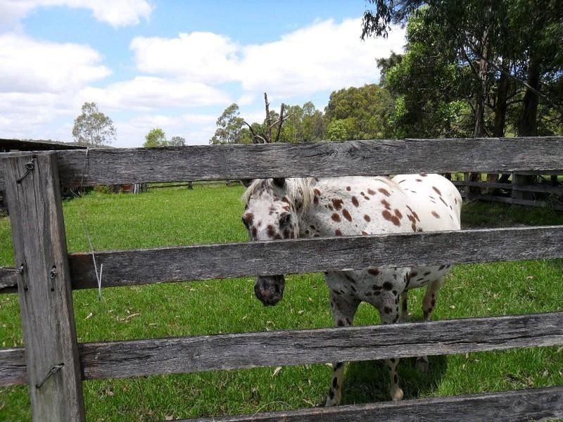 Lot 178 Smiths Creek Road, Copmanhurst NSW 2460