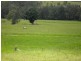 Lot 178 Smiths Creek Road, Copmanhurst NSW 2460