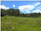 LOT/368-324 Smiths Creek Road, Copmanhurst NSW 2460