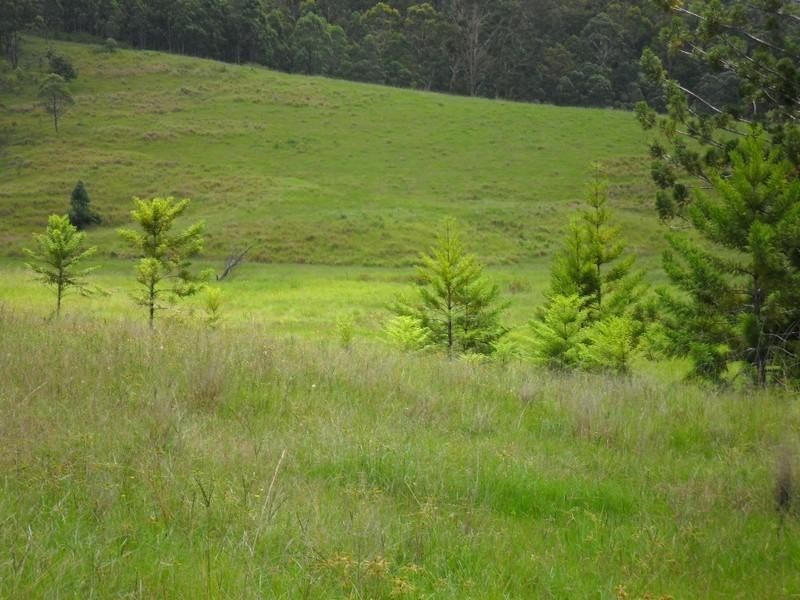 LOT/368-324 Smiths Creek Road, Copmanhurst NSW 2460