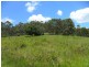 LOT/368-324 Smiths Creek Road, Copmanhurst NSW 2460