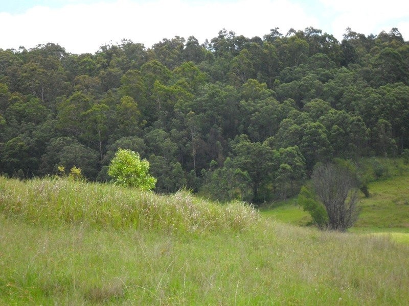 LOT/368-324 Smiths Creek Road, Copmanhurst NSW 2460