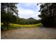 299 South Island Loop Road, Upper Orara NSW 2450