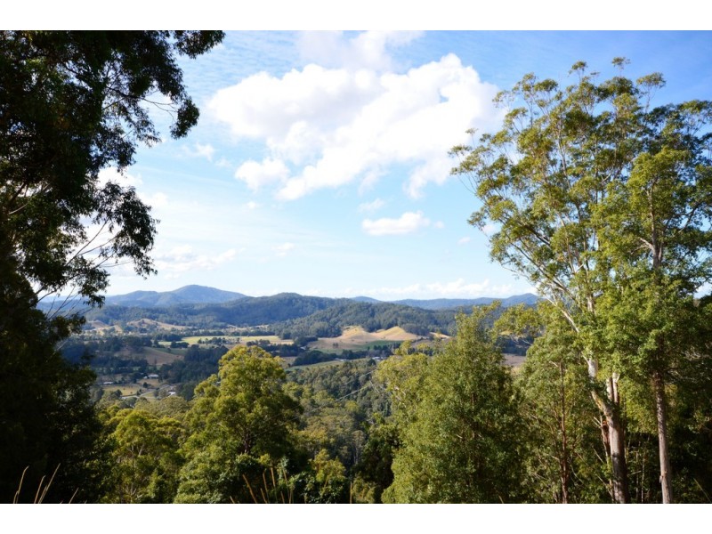 299 South Island Loop Road, Upper Orara NSW 2450