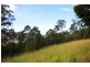 299 South Island Loop Road, Upper Orara NSW 2450