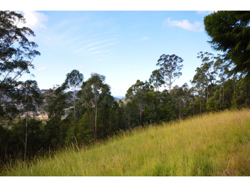 299 South Island Loop Road, Upper Orara NSW 2450