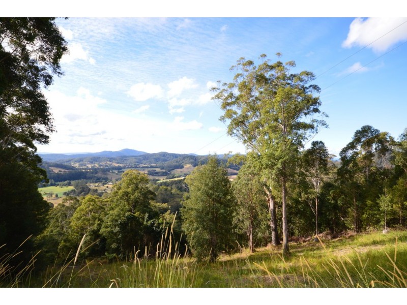 299 South Island Loop Road, Upper Orara NSW 2450