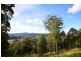 299 South Island Loop Road, Upper Orara NSW 2450