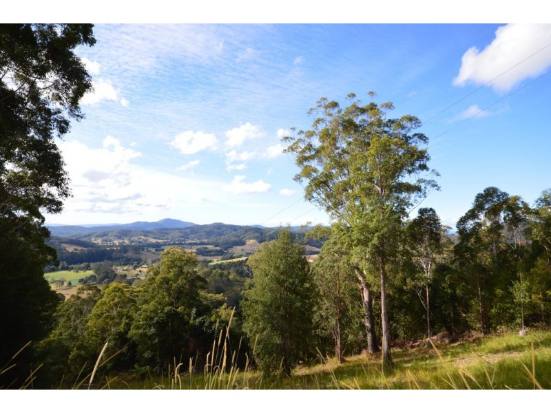 299 South Island Loop Road, Upper Orara NSW 2450