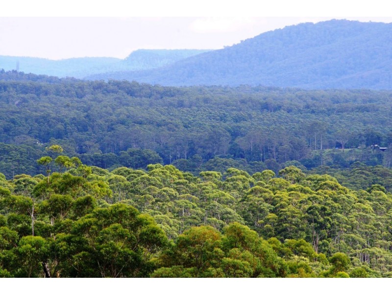 321 Gaudrons Road, Sapphire Beach NSW 2450