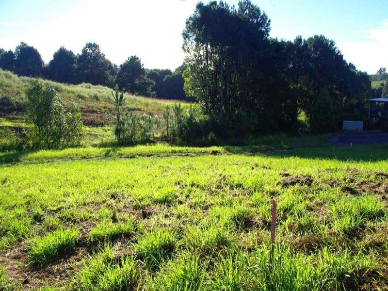 3 Hilliana Close, Bellingen NSW 2454