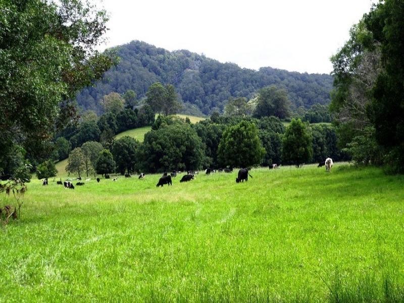 63 Dairyville Road, Upper Orara NSW 2450