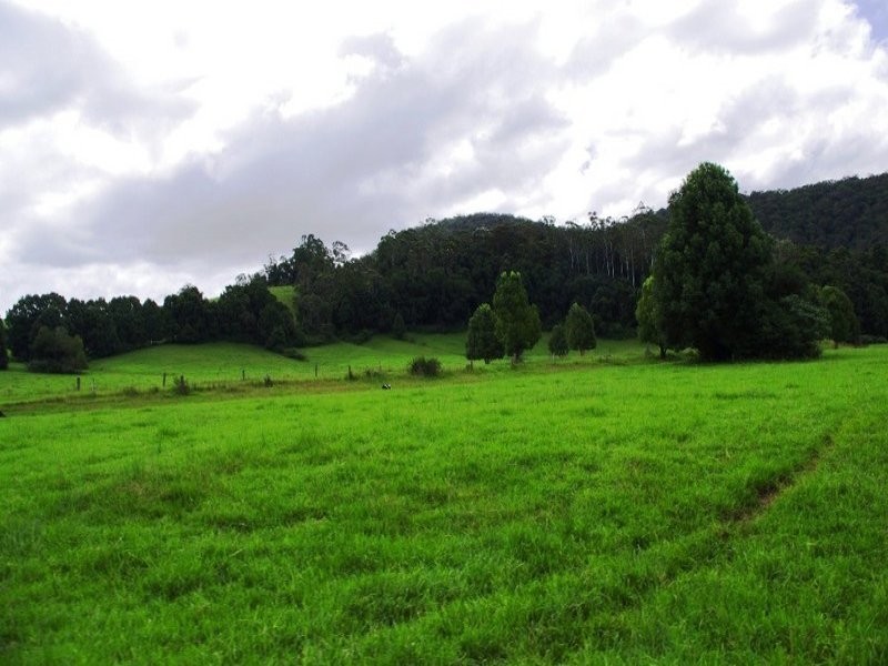 63 Dairyville Road, Upper Orara NSW 2450