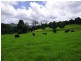 63 Dairyville Road, Upper Orara NSW 2450