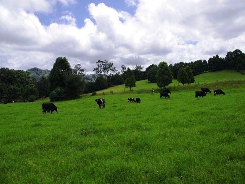 63 Dairyville Road, Upper Orara NSW 2450