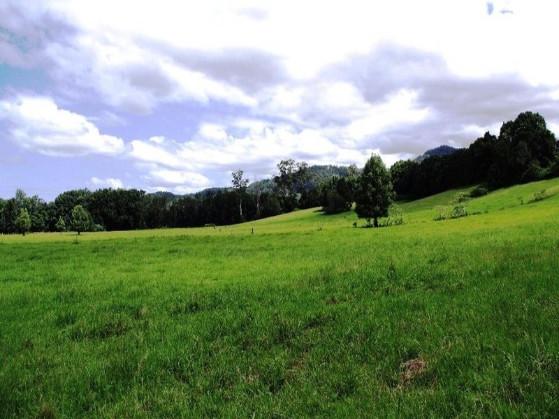 63 Dairyville Road, Upper Orara NSW 2450