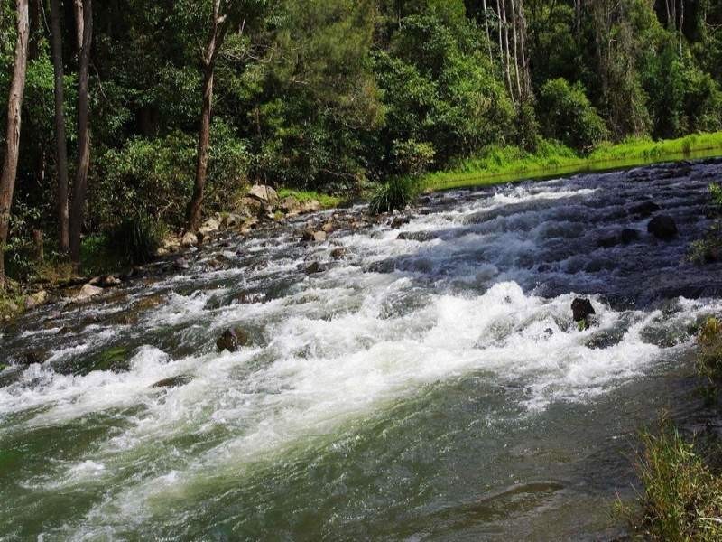63 Dairyville Road, Upper Orara NSW 2450