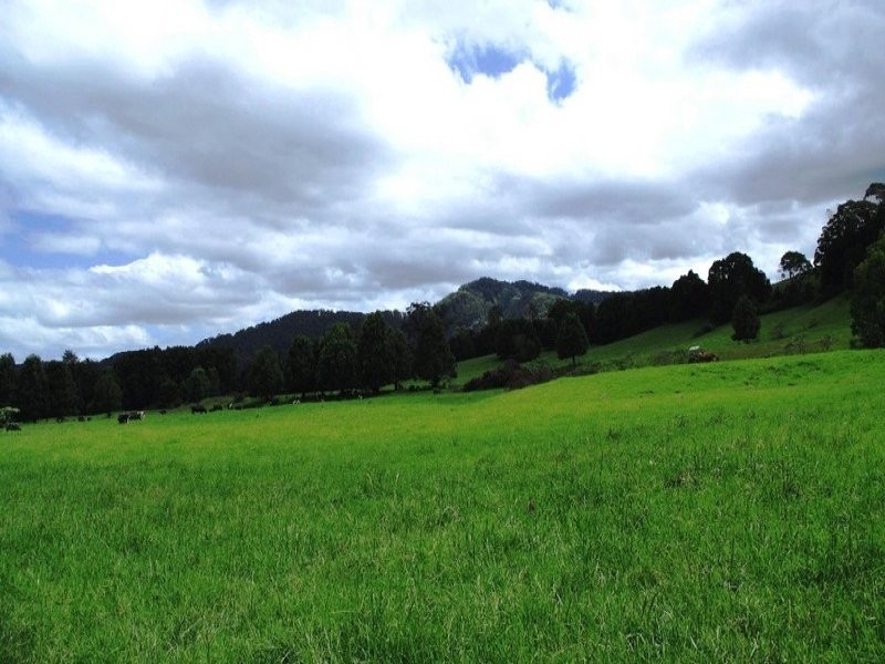 63 Dairyville Road, Upper Orara NSW 2450