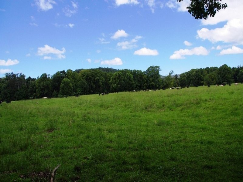 63 Dairyville Road, Upper Orara NSW 2450