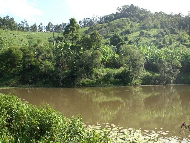 Lot 3 Newmans Road, Woolgoolga NSW 2456