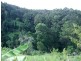 Lot 3 Newmans Road, Woolgoolga NSW 2456