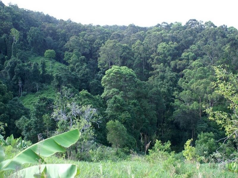 Lot 3 Newmans Road, Woolgoolga NSW 2456
