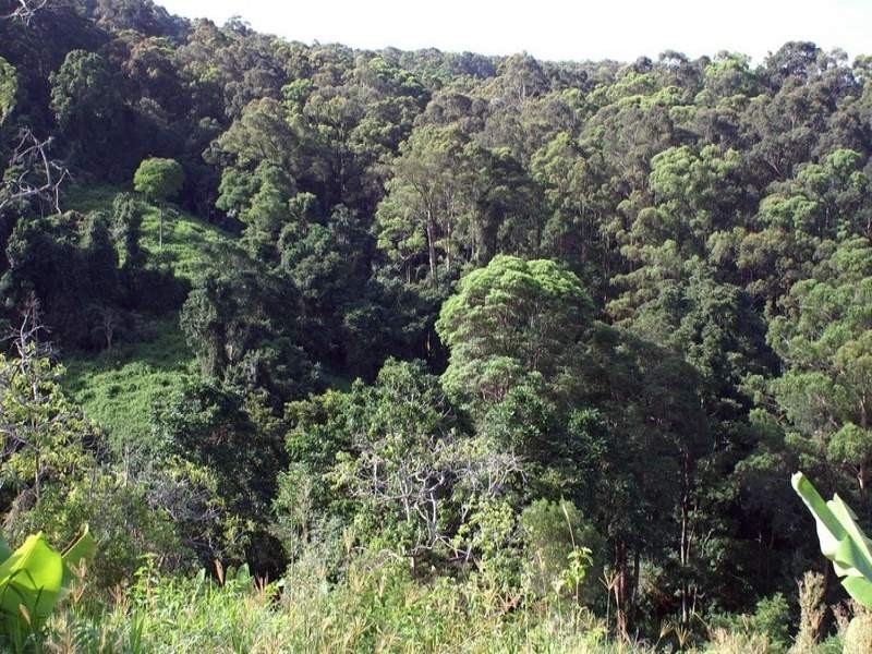 Lot 3 Newmans Road, Woolgoolga NSW 2456