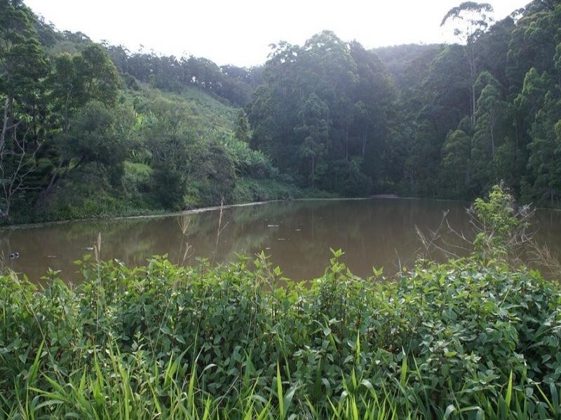 Lot 3 Newmans Road, Woolgoolga NSW 2456