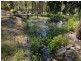 16 Kingfisher Avenue, Glenreagh NSW 2450