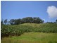 108 West Korora Road, Coffs Harbour NSW 2450