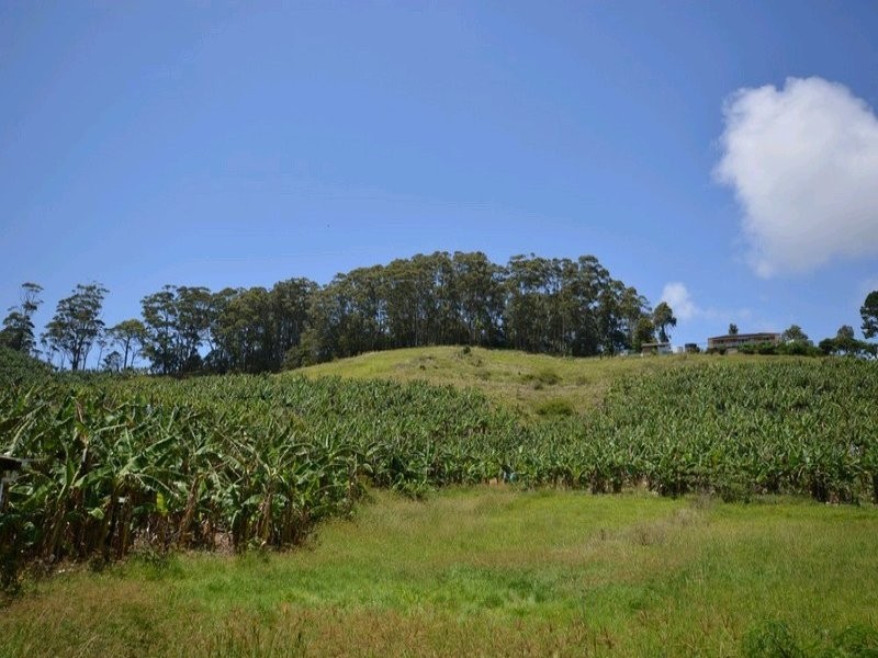 108 West Korora Road, Coffs Harbour NSW 2450