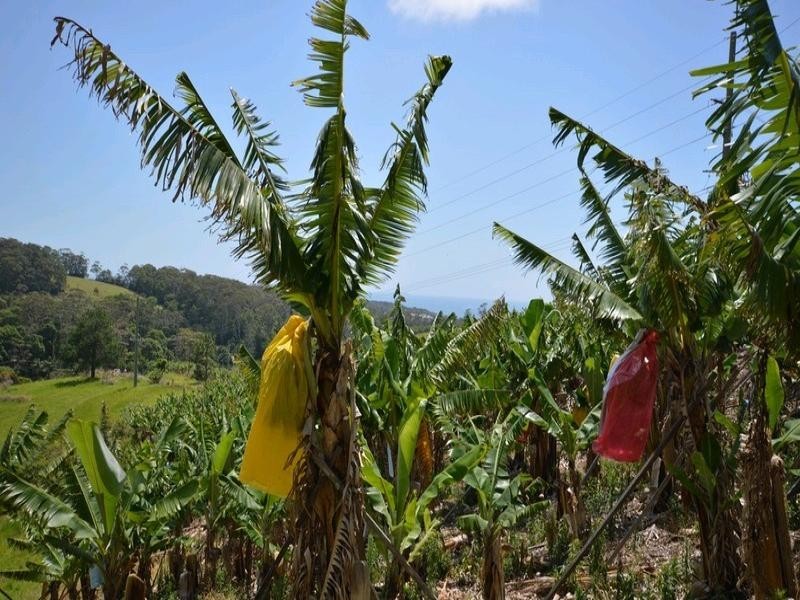 108 West Korora Road, Coffs Harbour NSW 2450