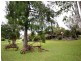 95 Pine Avenue, Ulong NSW 2450
