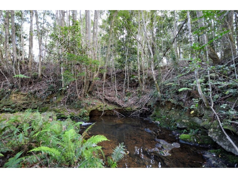 Lot 70 Timmsvale Road, Ulong NSW 2450