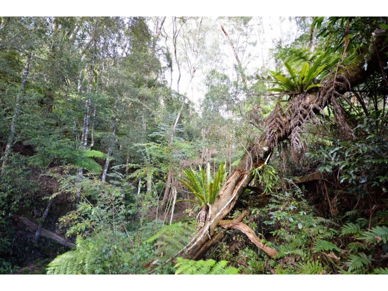 Lot 70 Timmsvale Road, Ulong NSW 2450